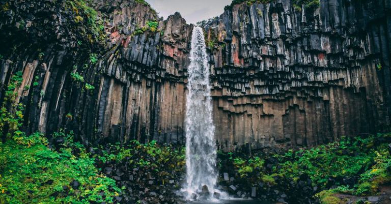 Waterfalls - Waterfall Surrounded With Green Leaf Plant View