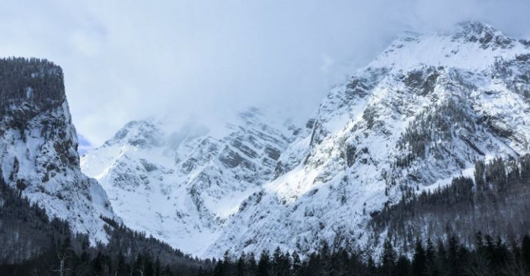 Forests - Snow Covered Mountain