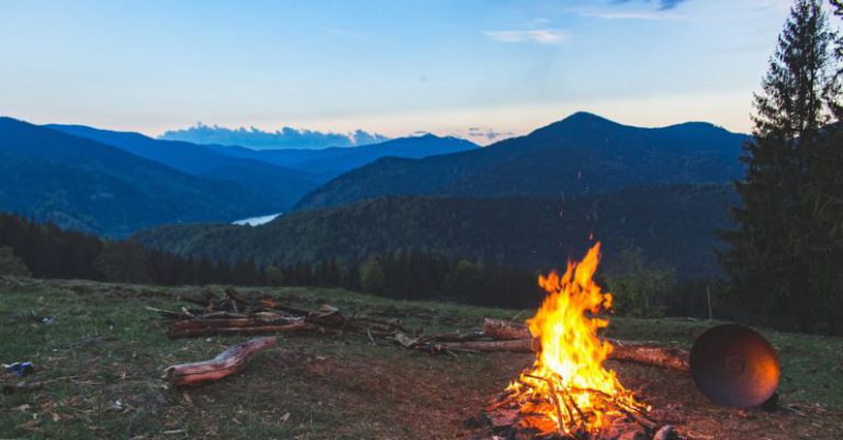 Camping - Bonfire Surrounded With Green Grass Field