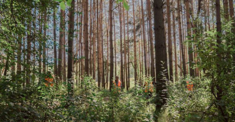 Wilderness Safety - Woman in Safety Vest in Forest