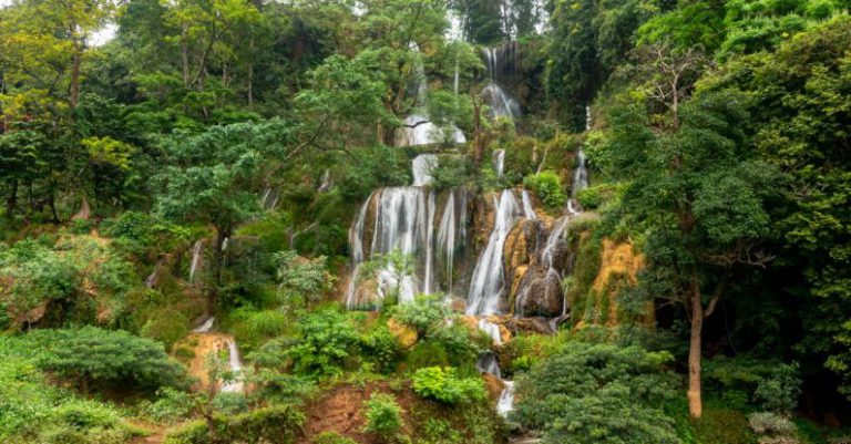 Wilderness Safety - A waterfall in the middle of a lush green forest