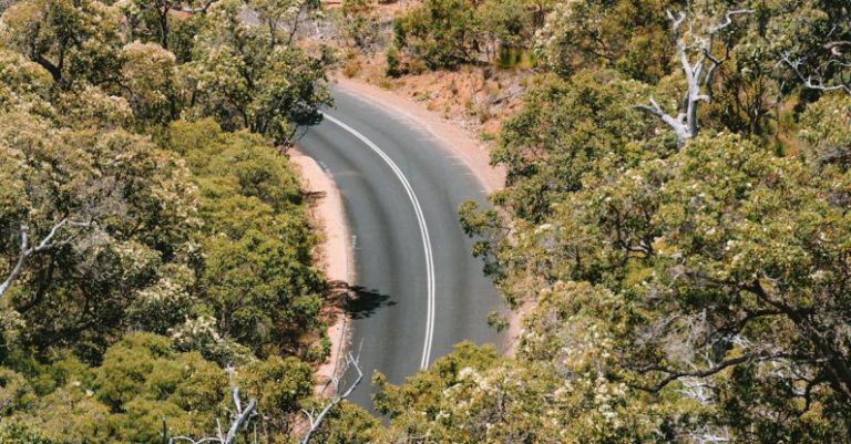 Wilderness Safety - A road winding through the forest in australia