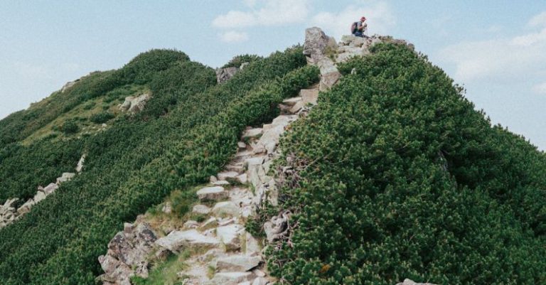 Trail Hike - Hiking in Zakopane