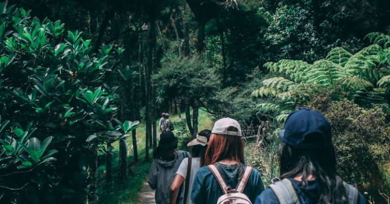 Trail Hike - People Wearing Backpacks Walking on Pathway Near Green Leaf Plants