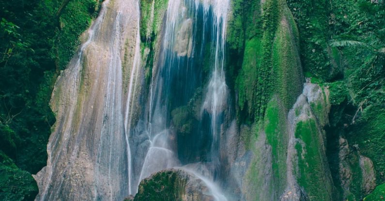 Waterfalls - Time Lapse Photography of Waterfalls Between Tall Trees